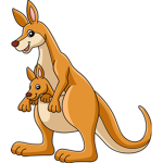 Kangaroo kids