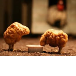 NUGGET NATION (All hail nuggets)