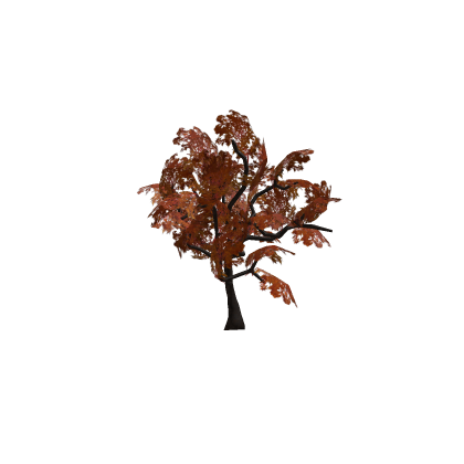Autumn Tree
