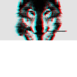glitched wolves