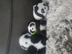 Panda Crew people