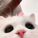 悦