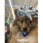 #ky