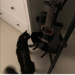 wither oof studios