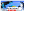 Sea World Parks & Resorts Roblox