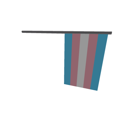 Trans Pride Flag Gear