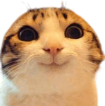 The Trilly Cheese