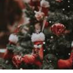 Asthetic Cutie Holidays
