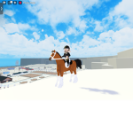 Horse Valley Riding