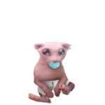 Baby Bingus