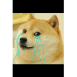 disappointed doges