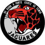 Squadron 301