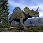 The Dino Organisation