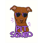 The Pit Squad