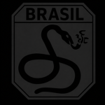 Exército Brasileiroᅠᅠᅠᅠᅠᅠ