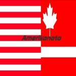 Amerikanata Simulator