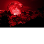 The Blood Moon Order