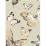 butterflies_luv
