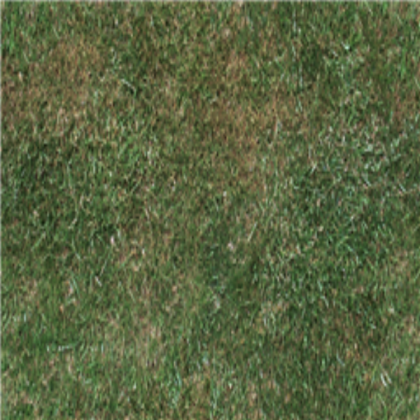 Grass Texture Roblox decal