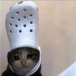 wheres981 fanclub