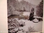 winter Fan Gruppe