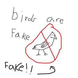 Birds are fake
