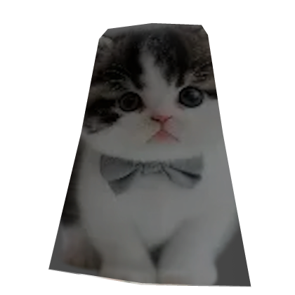 Cute cat Cape