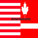 Amerikanata Simulator