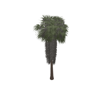 Animated Palm Tree: REUPLOADED