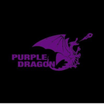 Purple dragon dojo