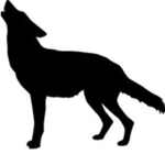 coyotes unite.