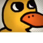 Ducks eat bread.