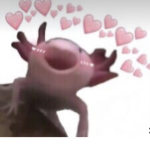 AXOLOTL ARMY!!!!