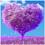 xLavenders