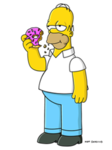 Homer simpson fan club