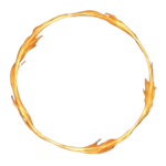 SJO 神 | Kyrie