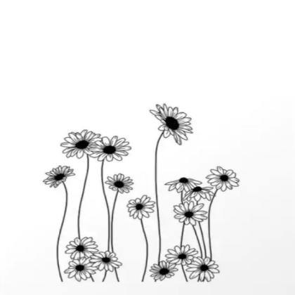 ##### ####### minimalist line drawing Roblox decal