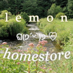 lemon homestore lobby