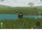 The armed invaders forces