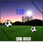 Top Bins