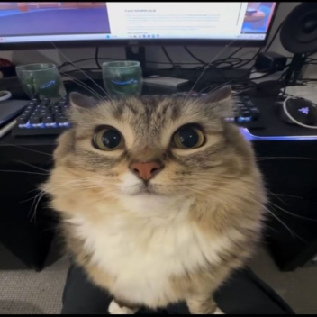 AUUUUUUUUUUGHHHHHHHHHHHHHHHHHHH