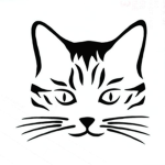 cat the fan groupe