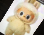 Fell capy