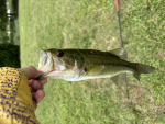Fishy gang boy
