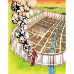 Dream City Group