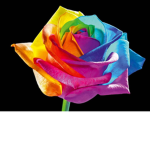 Rainbow Group Jessica