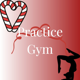 GSG - Practice Gym