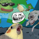 DANK MEME'S GROUP