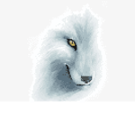 Fierce wolf club