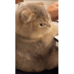 not_pg
